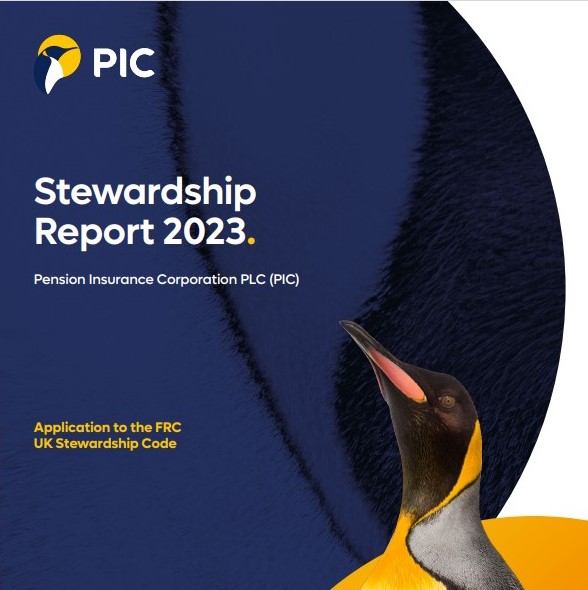 Stewardship report cover image