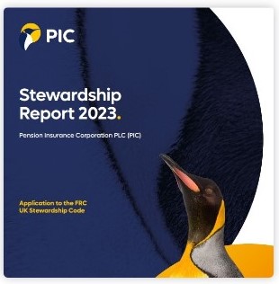 Stewardship report cover image