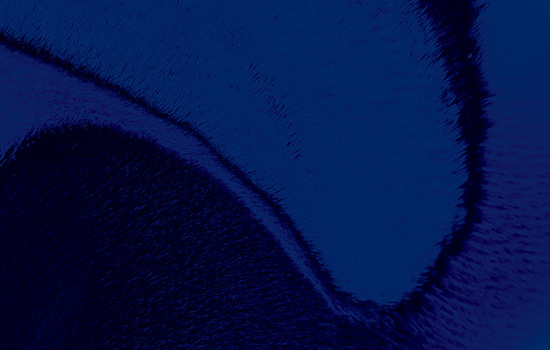 Zoomed in creative image of PIC penguin feathers