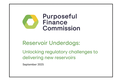 Reservoir underdogs report thumbnail